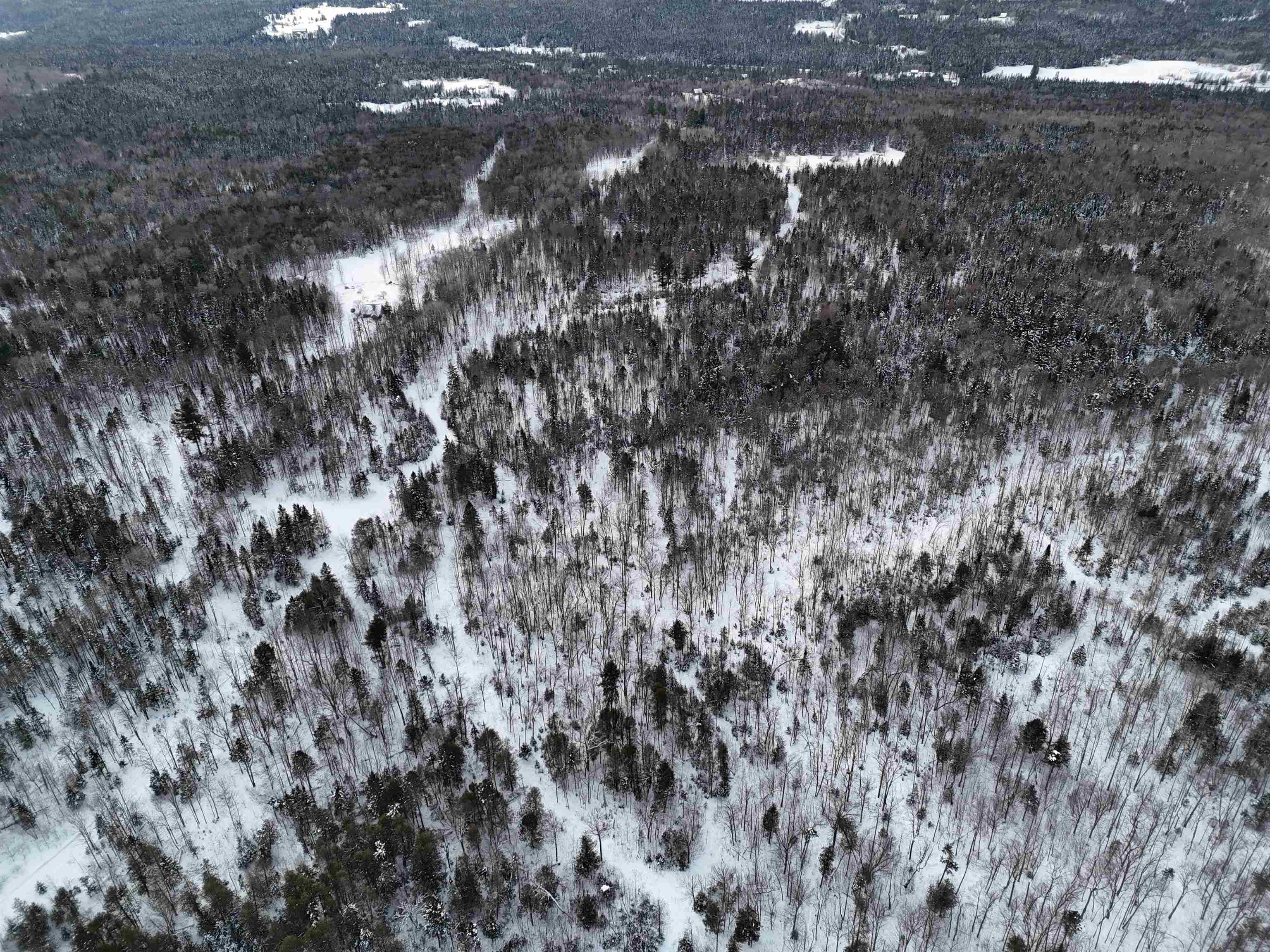 Spar Hawk Road Greensboro Bend, VT 05842 - Photo 29 of 29