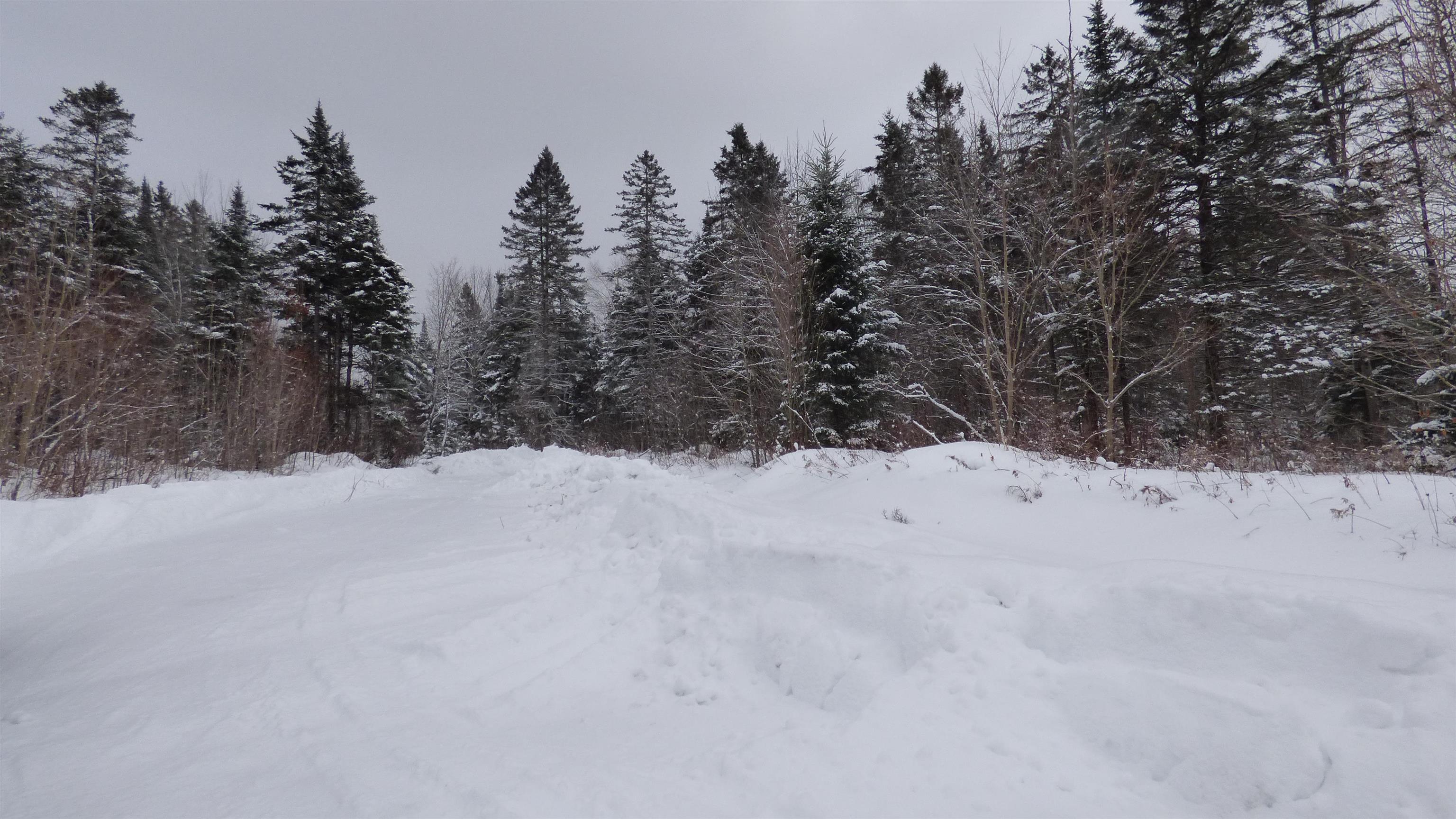 Spar Hawk Road Greensboro Bend, VT 05842 - Photo 3 of 29