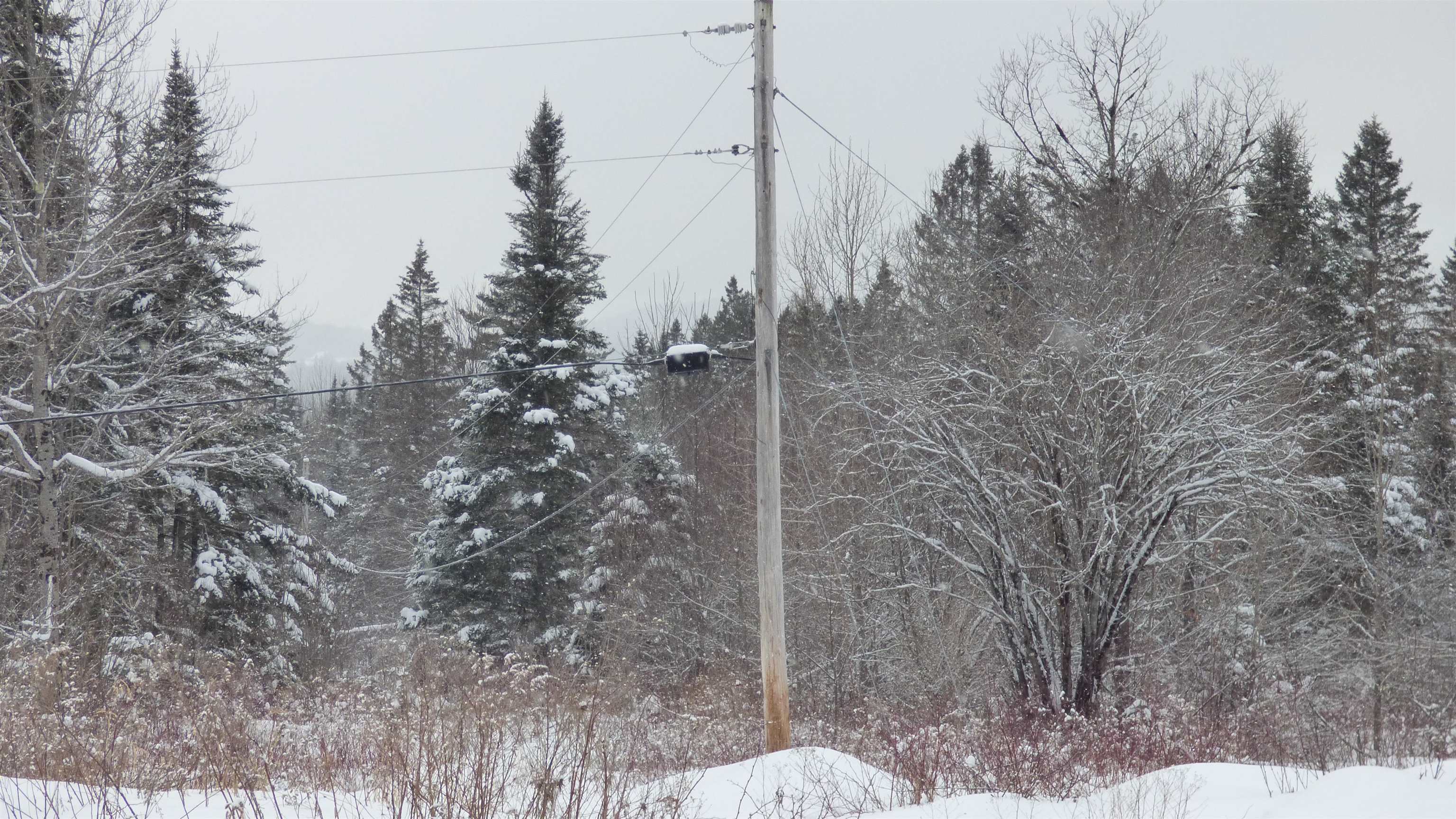 Spar Hawk Road Greensboro Bend, VT 05842 - Photo 4 of 29