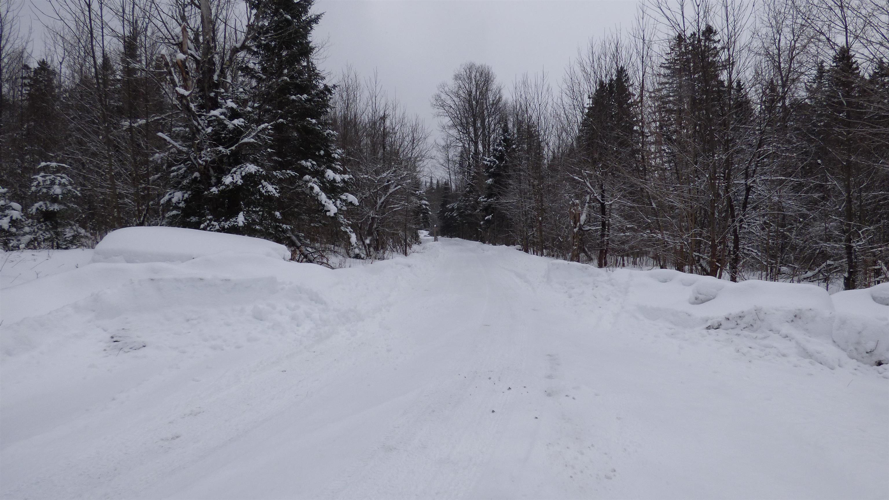 Spar Hawk Road Greensboro Bend, VT 05842 - Photo 6 of 29