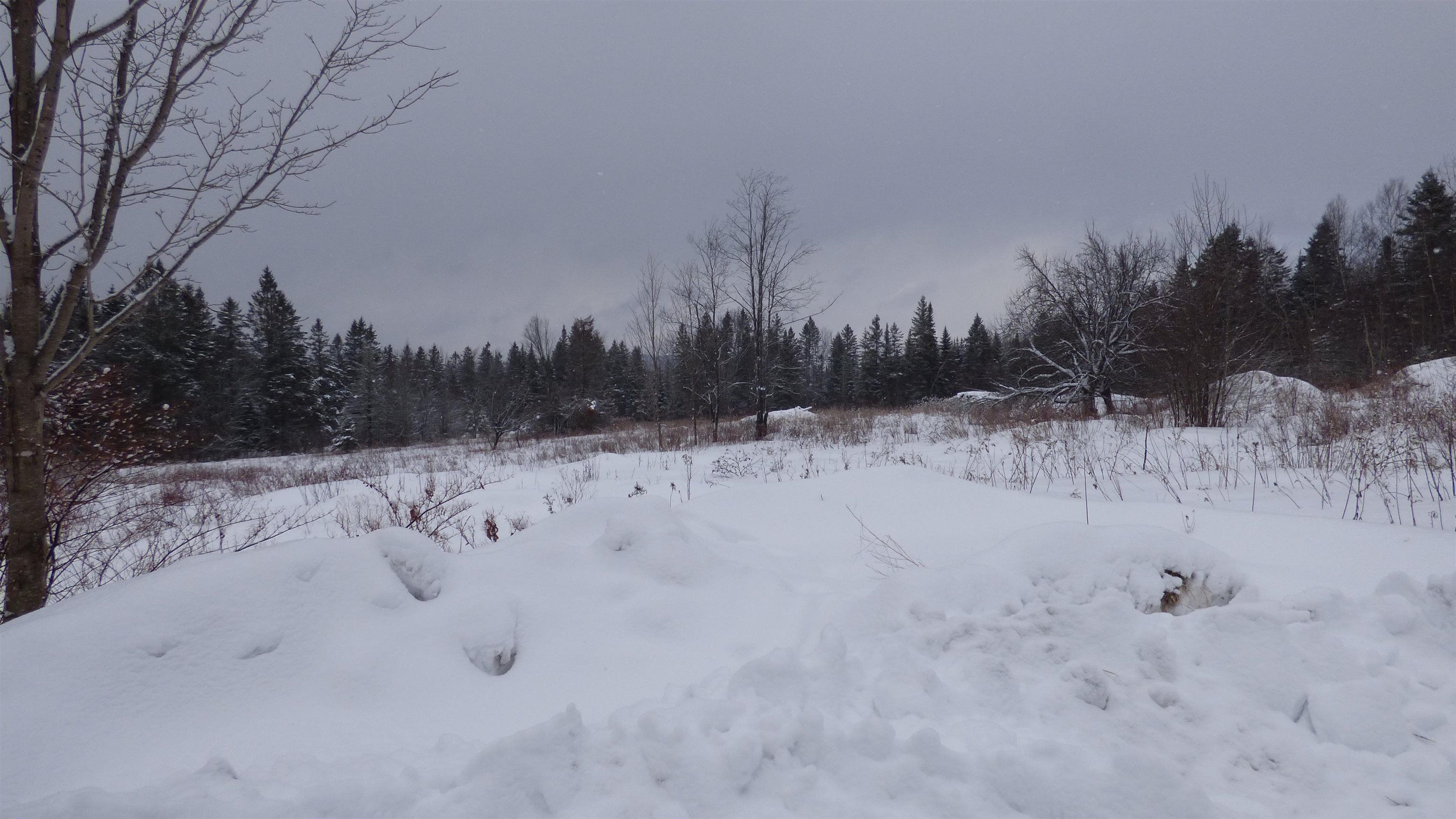 Spar Hawk Road Greensboro Bend, VT 05842 - Photo 7 of 29