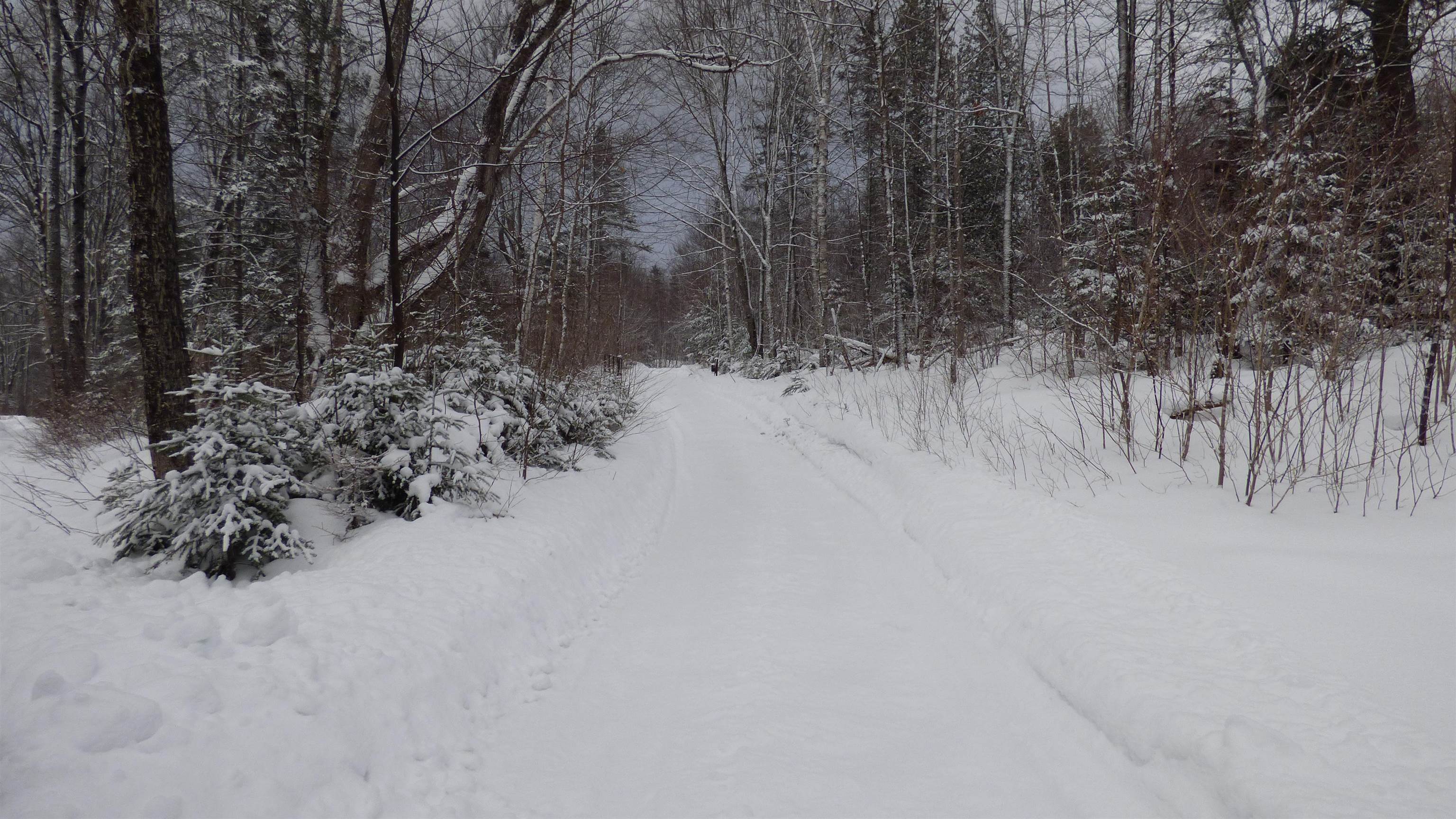Spar Hawk Road Greensboro Bend, VT 05842 - Photo 8 of 29
