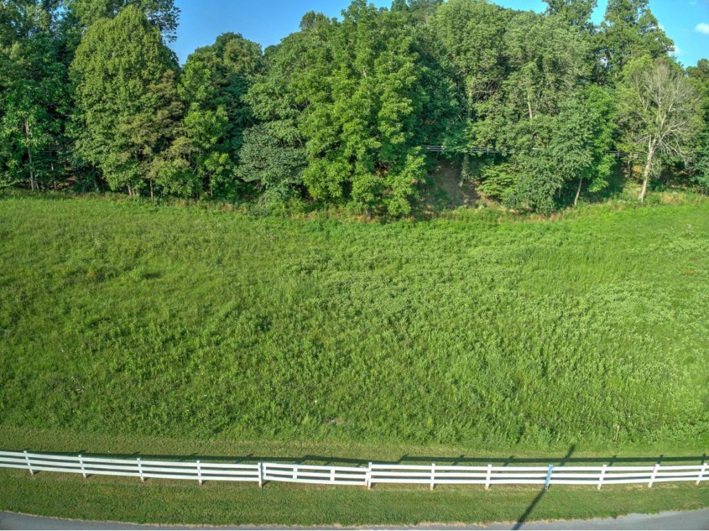 421 Sells Road, Unit 1 Bluff City, TN 37618 - Photo 6 of 15 Photo 6