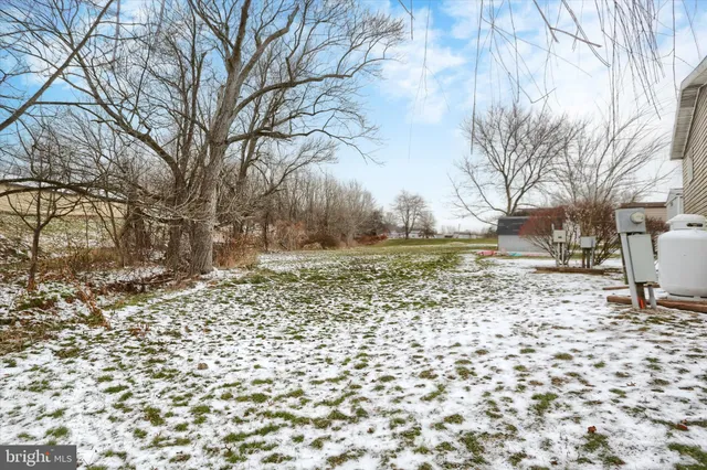 a view of a yard with a tree
