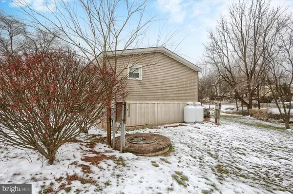 a backyard of a house with a large tree
