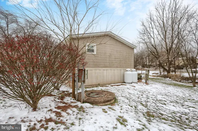 a backyard of a house with a large tree