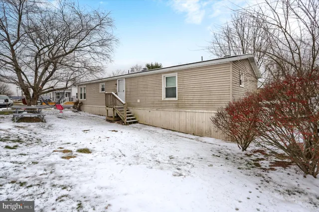 a backyard of a house with a large tree