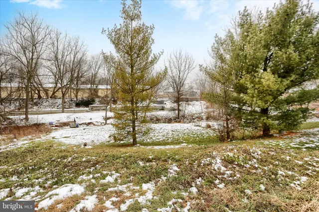 a view of a yard with trees