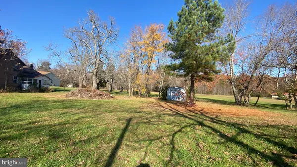 a backyard of a building with large trees