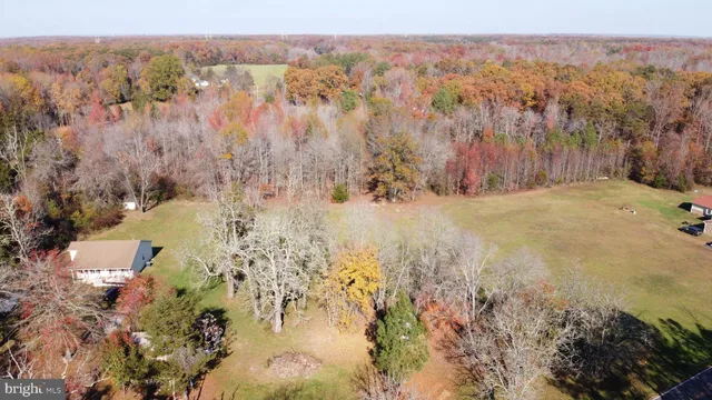 a view of a yard with trees