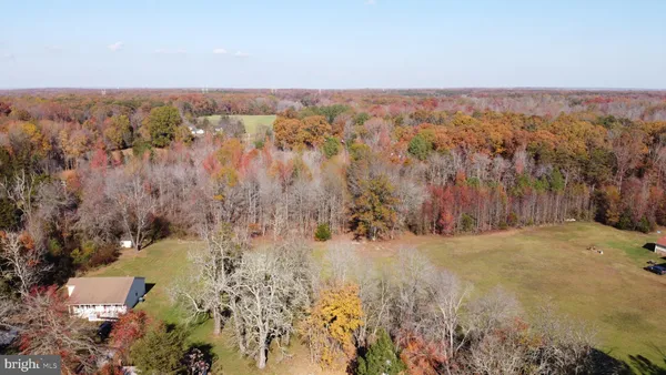 a view of a yard with large trees