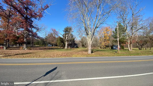 a view of a yard with large trees