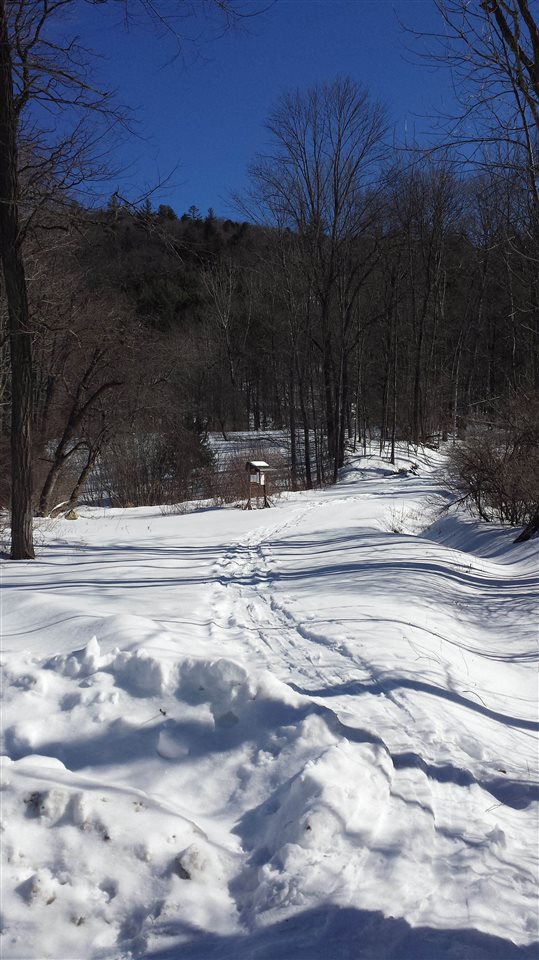 868 Grassy Brook Road Brookline, VT 05345 - Photo 13 of 13