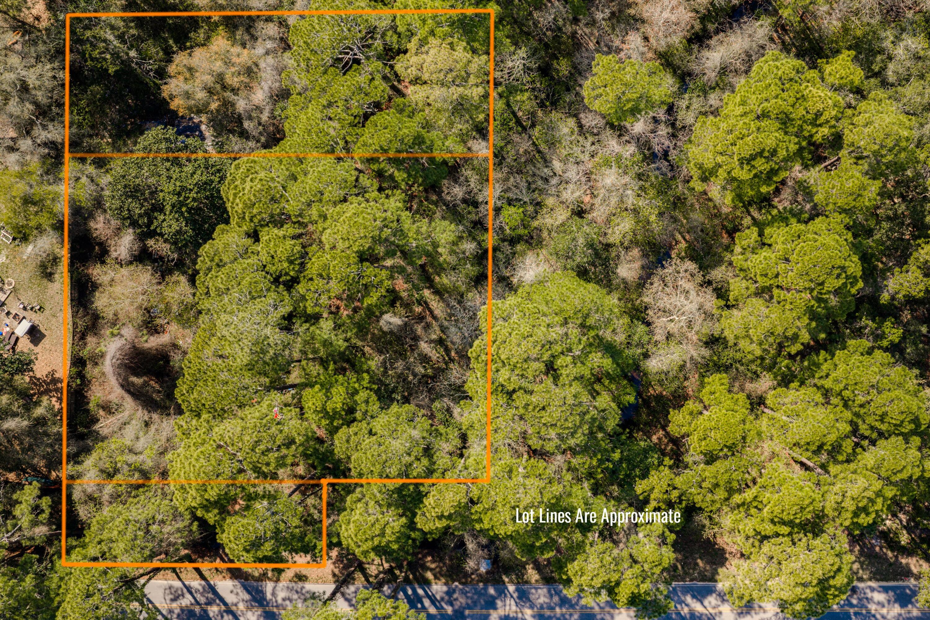 151 Don Bishop Road Santa Rosa Beach, FL 32459 - Photo 6 of 13 a view of a yard