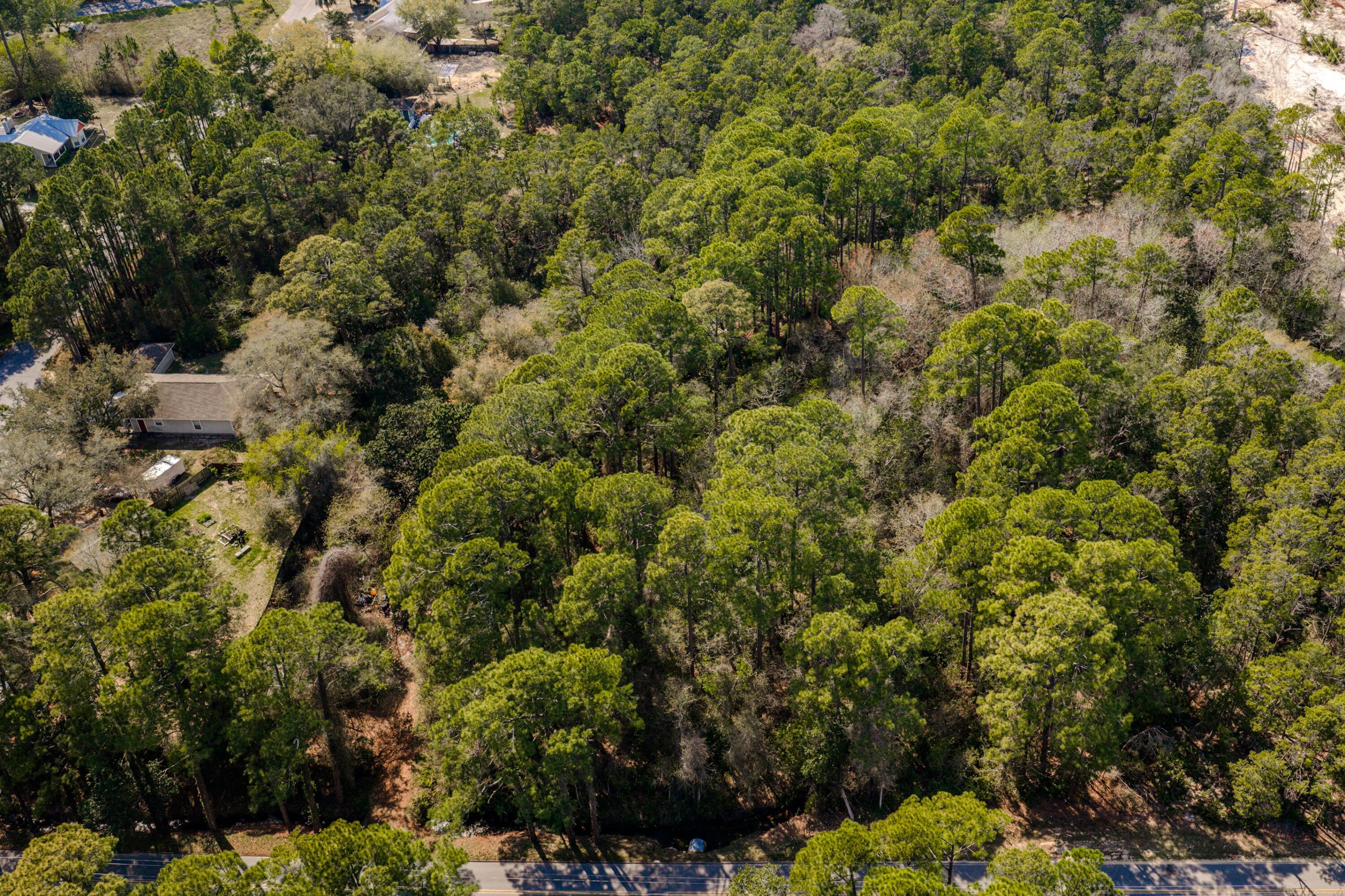 151 Don Bishop Road Santa Rosa Beach, FL 32459 - Photo 8 of 13 a view of a house with a lush green forest