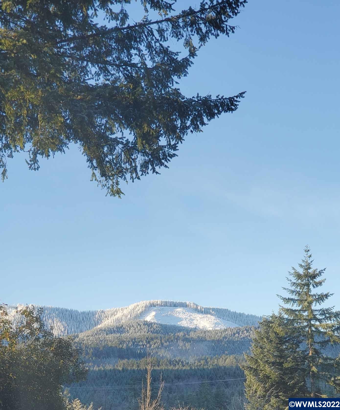 39878 Rock Creek Road Gates, OR 97346 - Photo 37 of 40