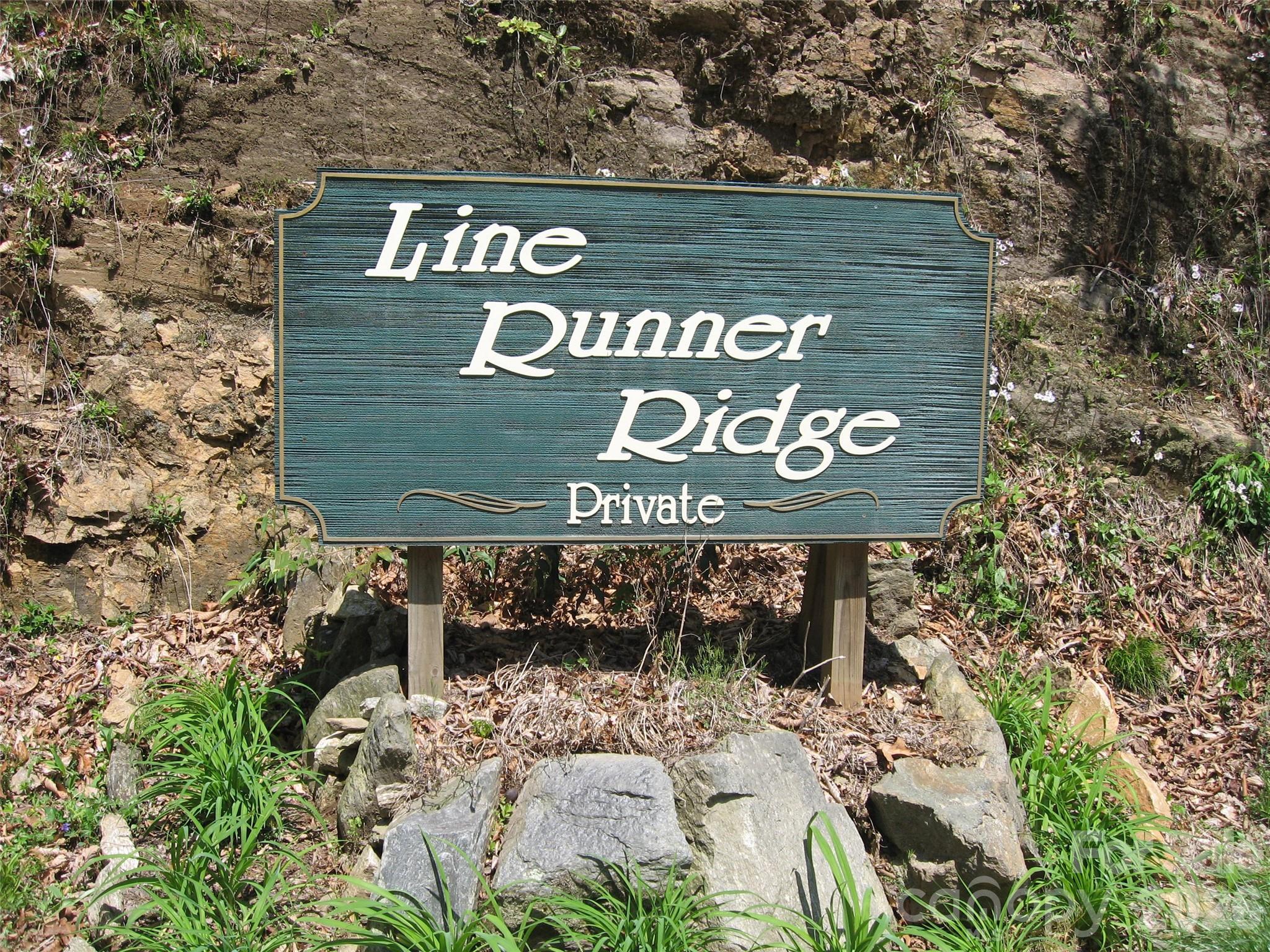 313 Line Runner Ridge Road Brevard, NC 28712 - Photo 33 of 33