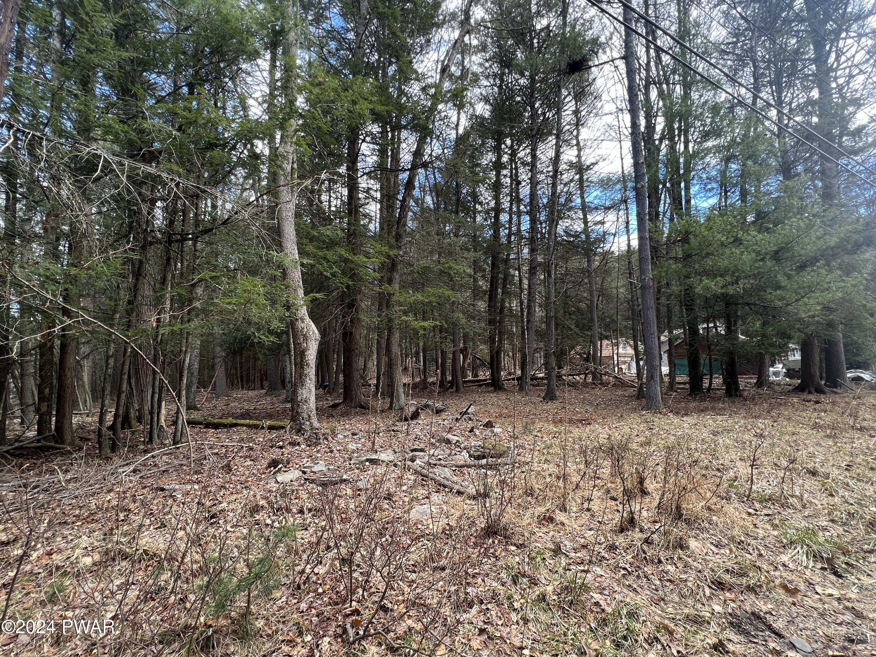Creek Road Hawley, PA 18428 - Photo 4 of 21