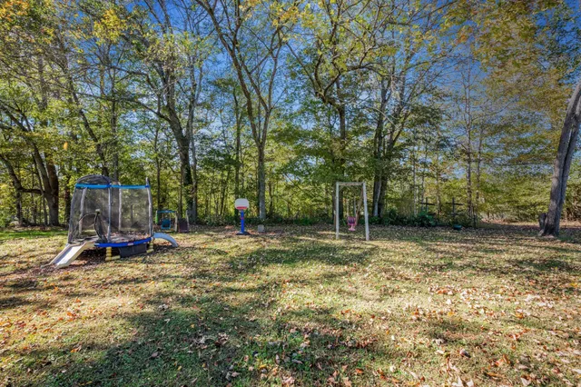 a view of a park with large trees