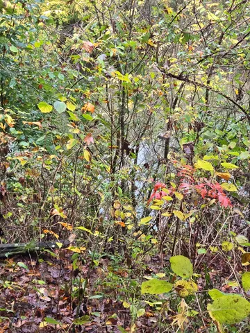 $349,000 | 6491 Piney River Road North, Bon Aqua, TN 37025