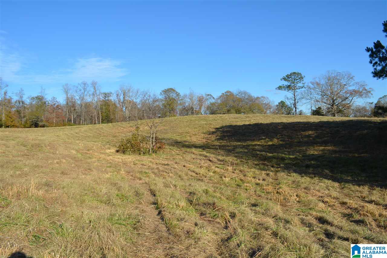 8333 Chelsea Road, Unit 2 Columbiana, AL 35051 - Photo 12 of 13