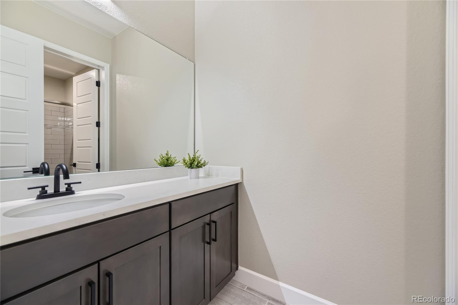 11330 Yellow Tip Point Parker, CO 80134 - Photo 44 of 50 a bathroom with a sink and a mirror