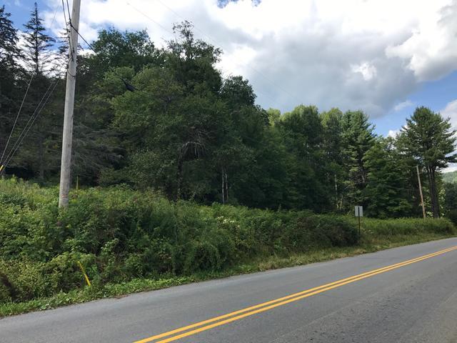 0 Yankee Bush Road Warren, PA 16365 - Photo 2 of 3 Gallery Image 2