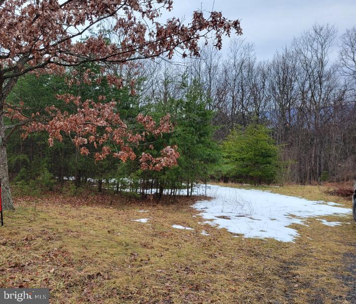 Lot 2 Timber Ridge Road North Cross Junction, VA 22625 - Photo 2 of 2
