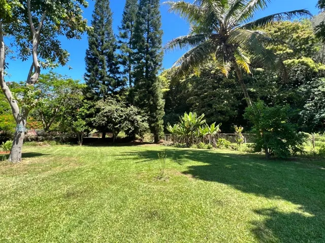 a view of a field with a tree