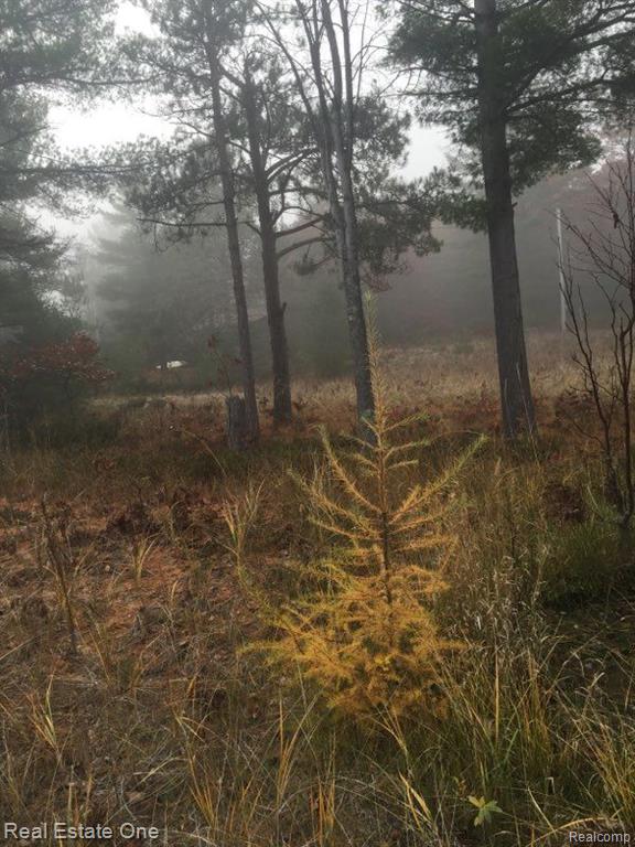 0 Golden Trail Road Millersburg, MI 49759 - Photo 5 of 5