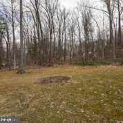 790 Taylor Road Downingtown, PA 19335 - Photo 21 of 23 Open rear yard with shade