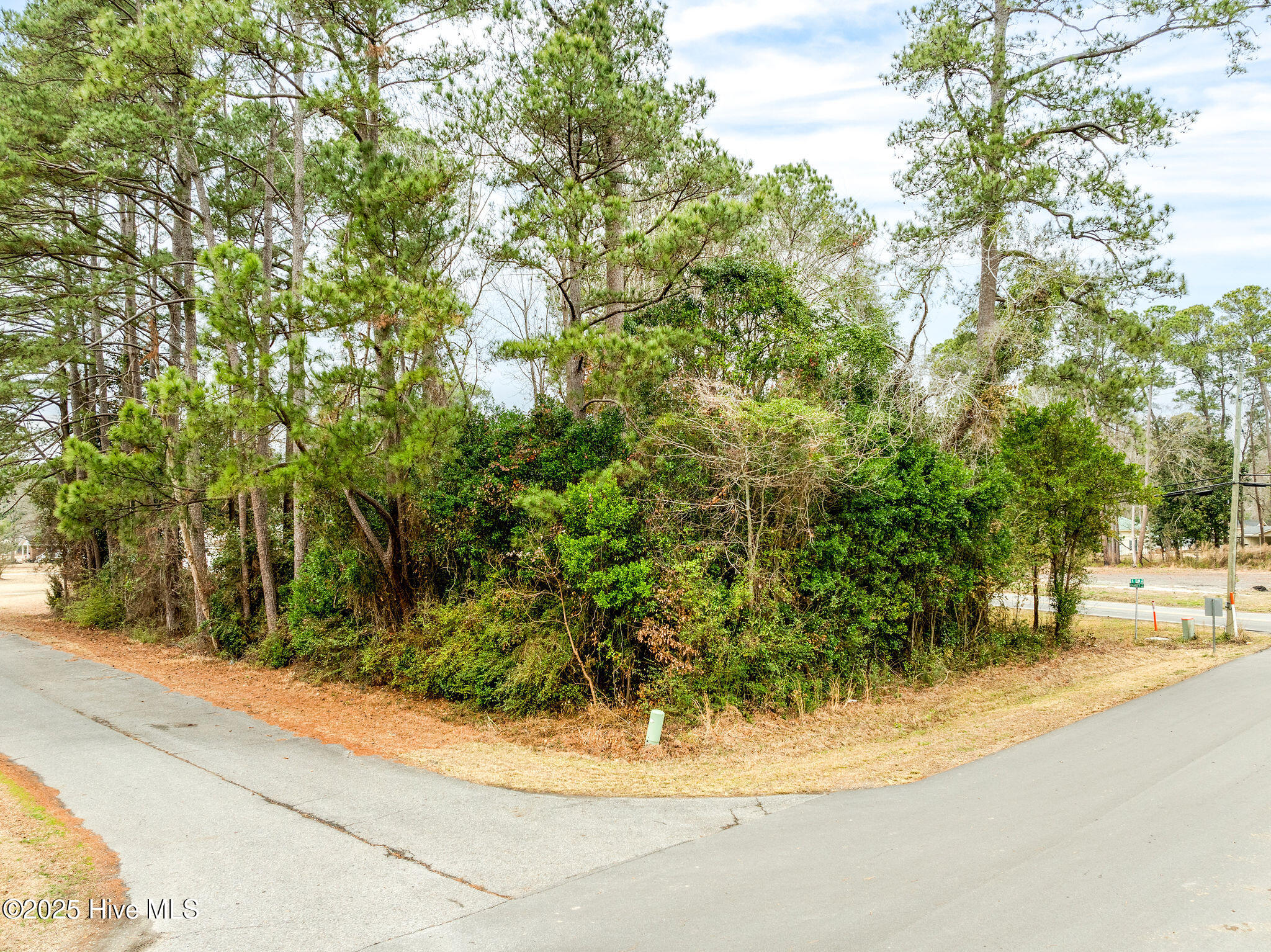 1 West Charity Road Rose Hill, NC 28458 - Photo 4 of 15 rosehilllot13