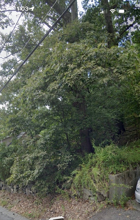 0 Beachview Avenue Malden, MA 02148 - Photo 2 of 2 a view of a lush green forest