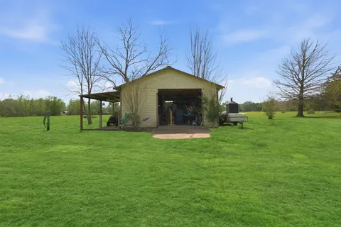 a view of a garden