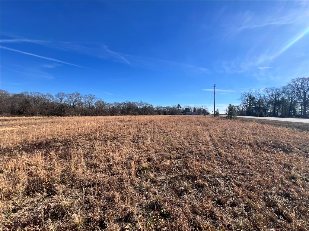 9005 Augusta Road Pelzer, SC 29669 - Photo 10 of 21