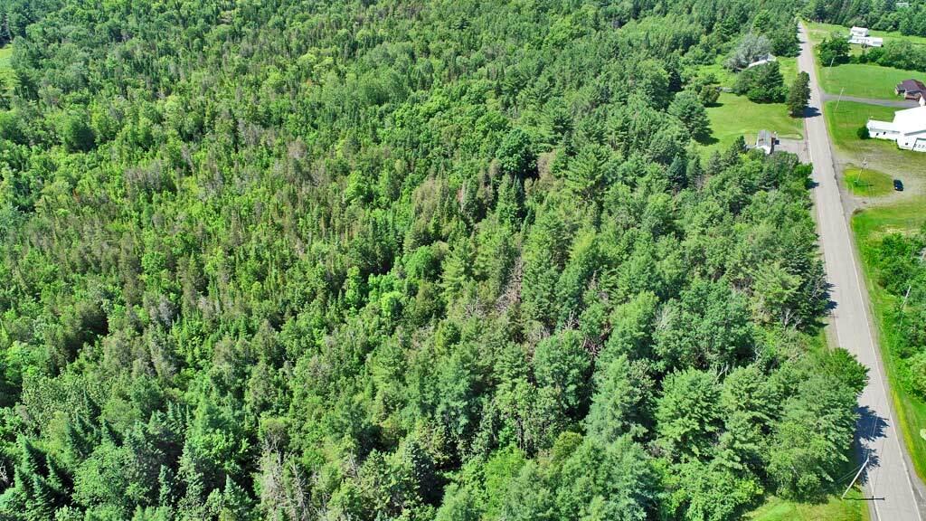 3340 Military Road Haynesville, ME 04497 - Photo 35 of 45 wooded-land-haynesville-me