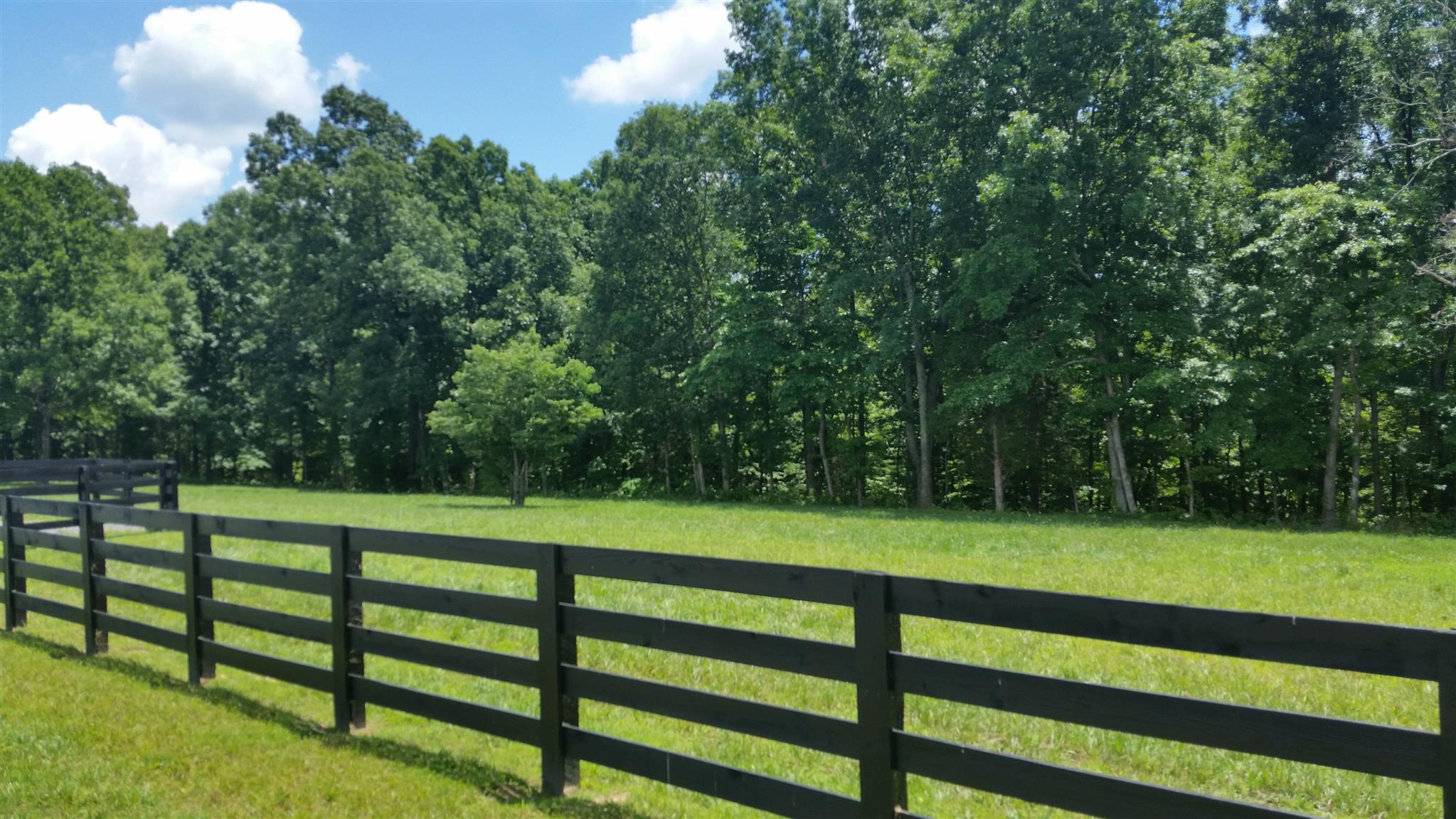 5 Liberty Road Fairview, TN 37062 - Photo 1 of 8 a view of a park