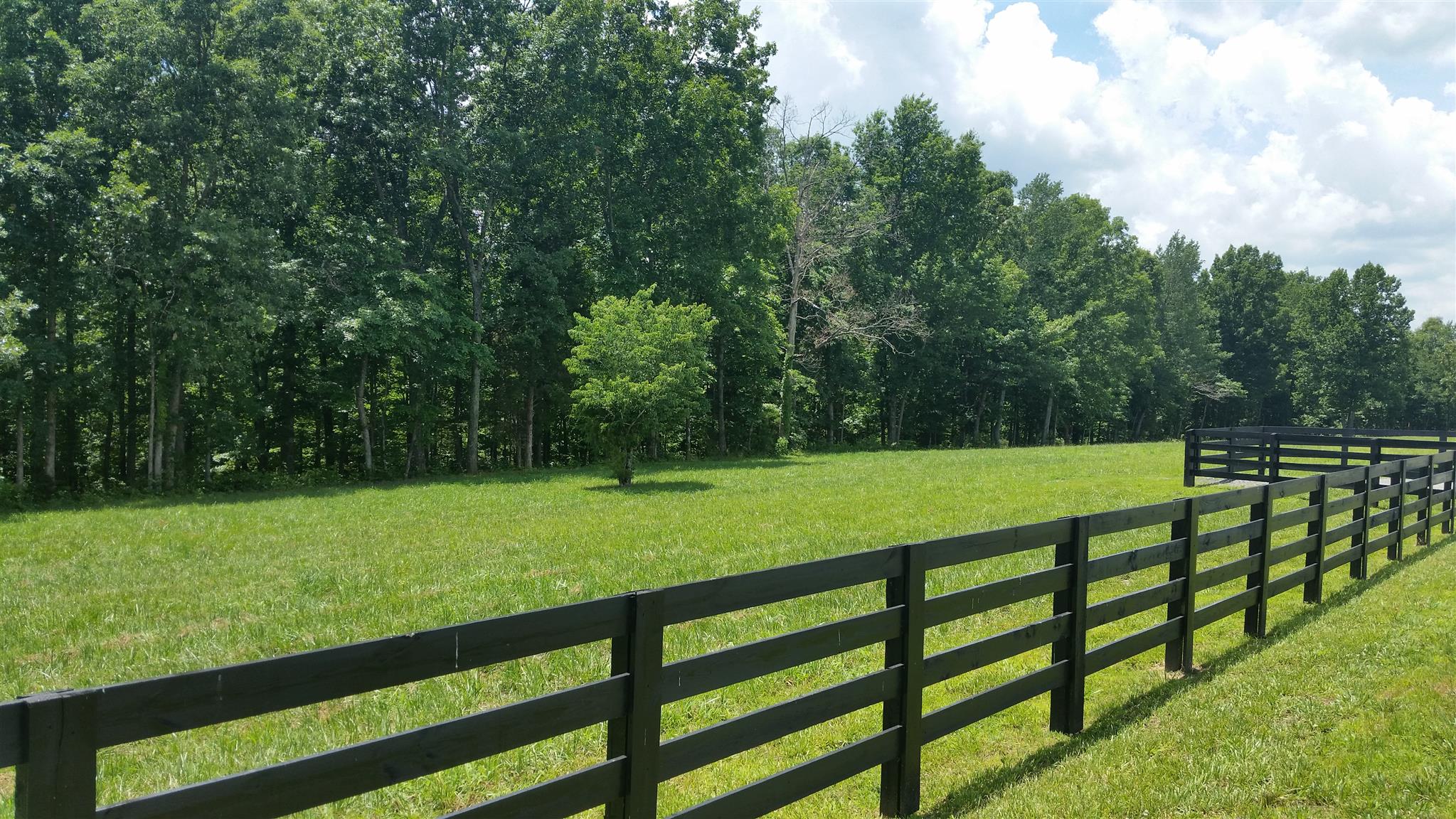 5 Liberty Road Fairview, TN 37062 - Photo 2 of 8 a view of a yard with large trees