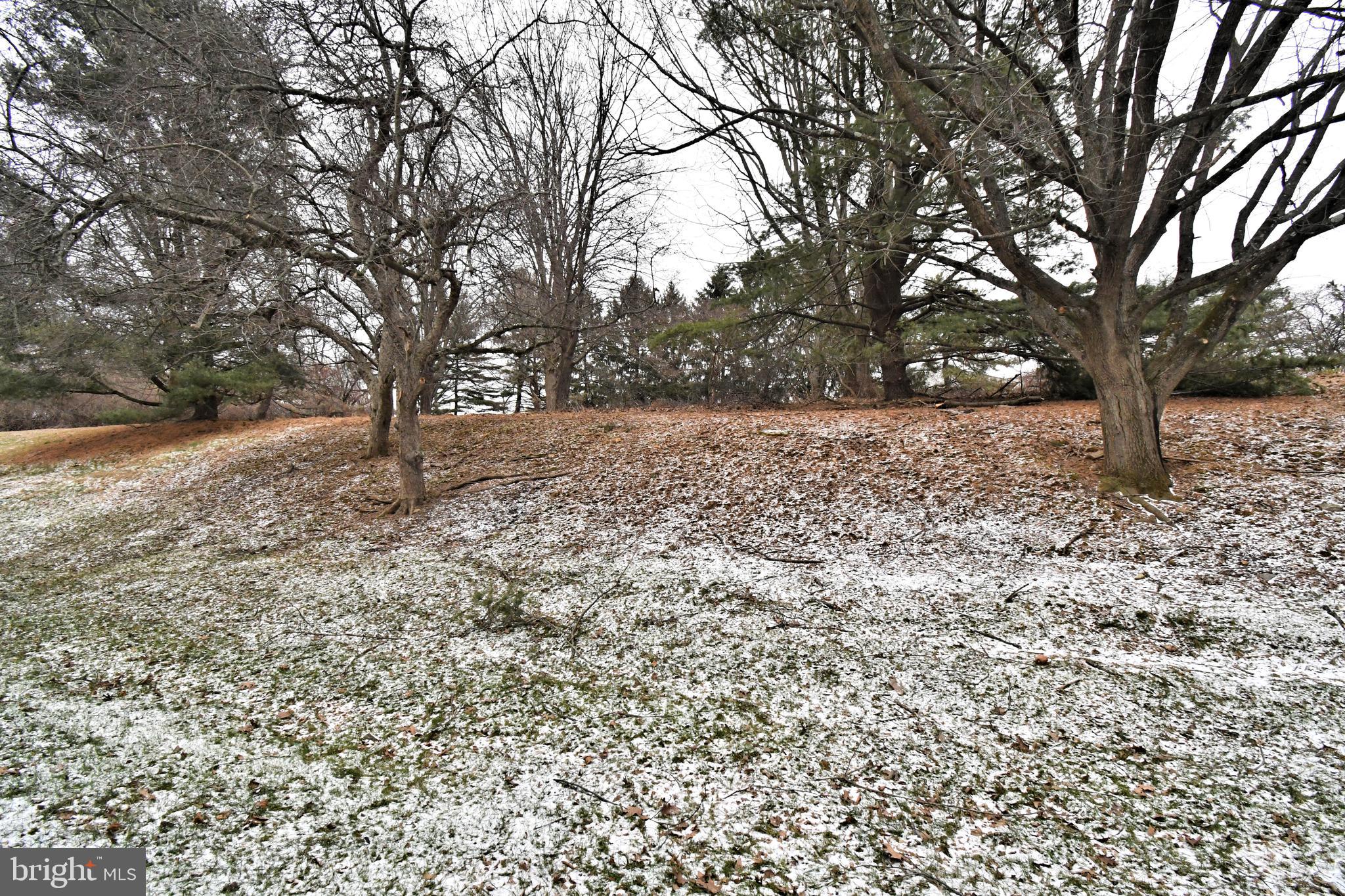 28 Flintlock Lane Chesterbrook, PA 19087 - Photo 27 of 69