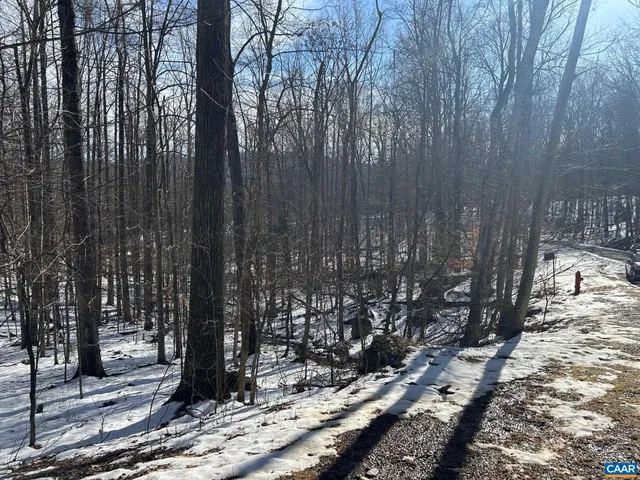 a view of outdoor space with lots of trees