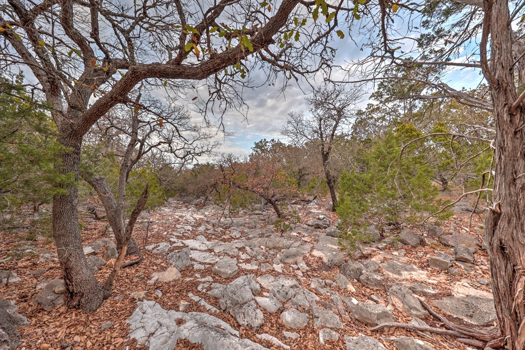 438-2 Yellowstone Lane Hunt, TX 78024 - Photo 12 of 23 a view of a yard with large trees