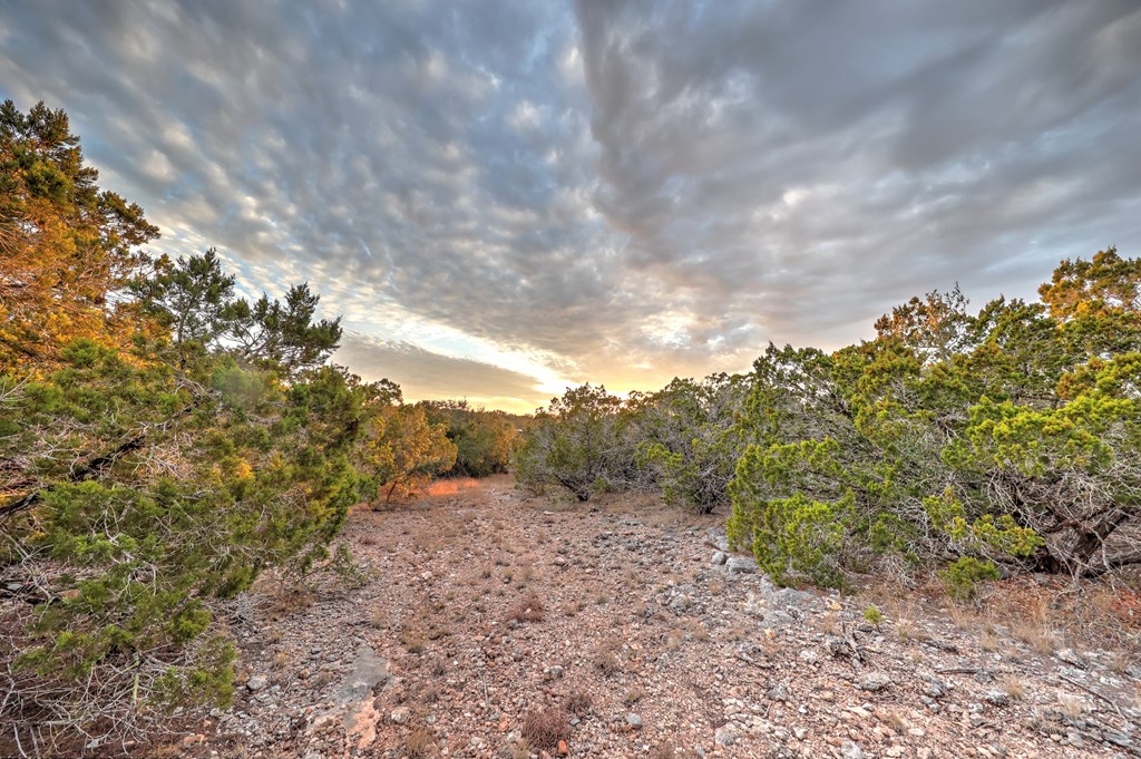 438-2 Yellowstone Lane Hunt, TX 78024 - Photo 6 of 23 a view of a large yard with lots of bushes