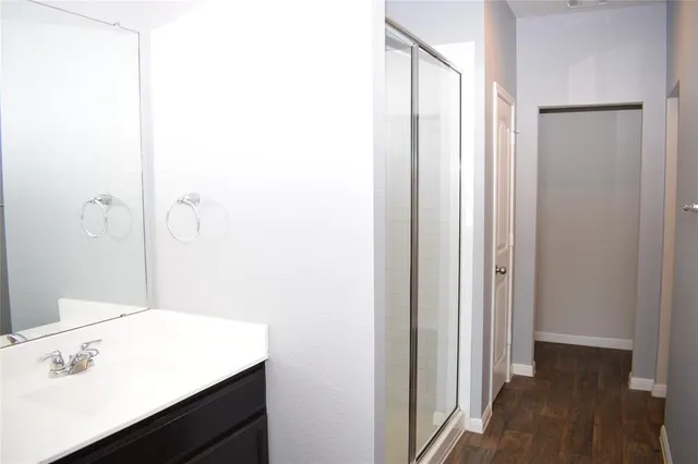 a bathroom with a sink a shower and a mirror
