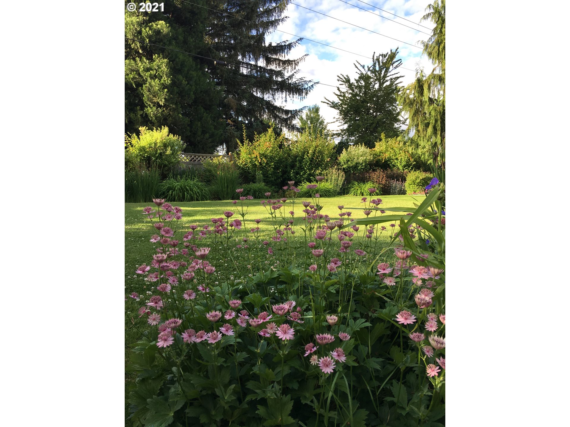 7150 South Barnards Road Canby, OR 97013 - Photo 29 of 32 a view of a yard with plants and large trees