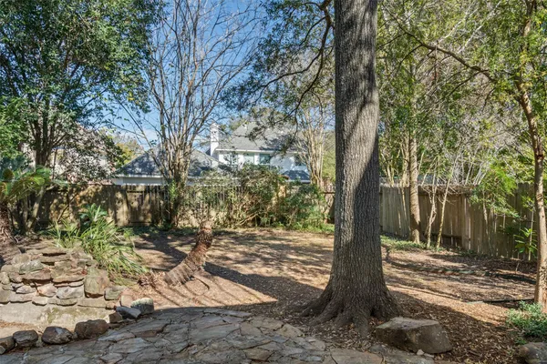 a view of a tree in the middle of a yard
