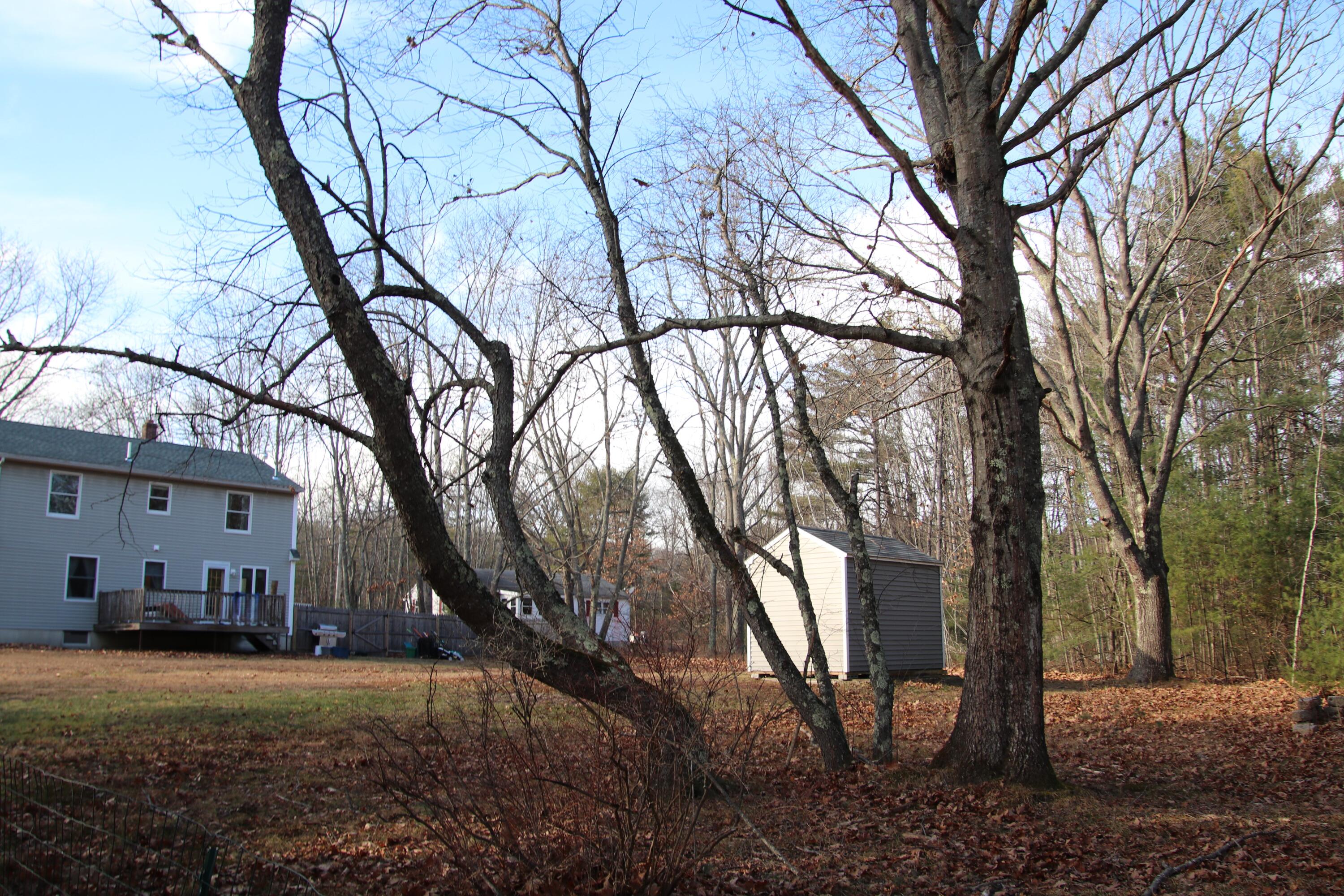 37 Kennebunk Pond Road Lyman, ME 04002 - Photo 57 of 68 IMG_1780