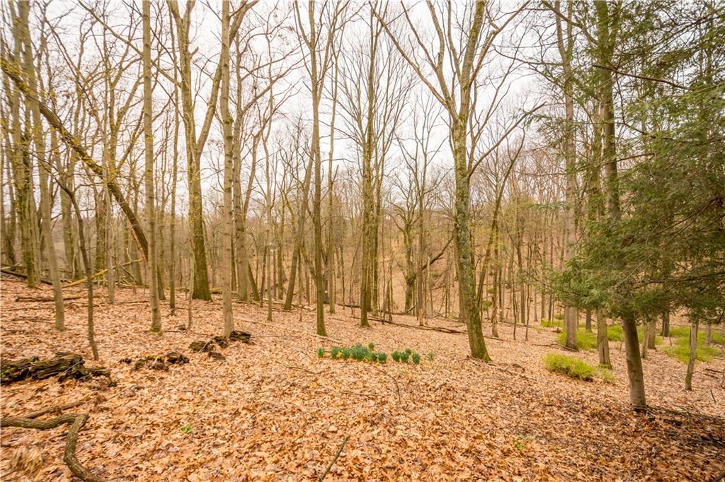 189 Reichold Road Wexford, PA 15090 - Photo 38 of 44 Gallery Image 38