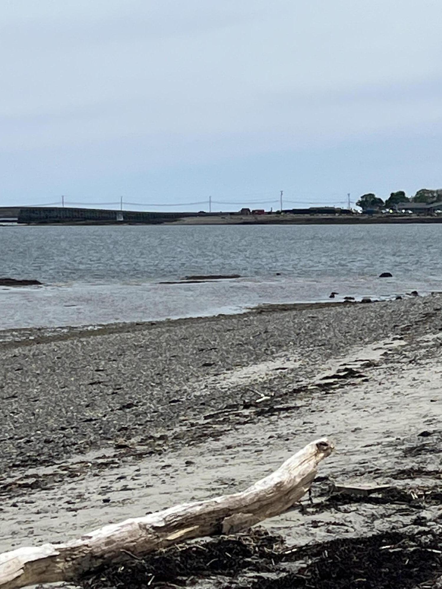 84 Stovers Point Road Harpswell, ME 04079 - Photo 24 of 25 IMG_5016
