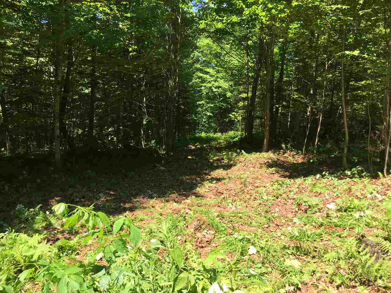 0 Gore Road, Unit 1 Pittsburg, NH 03592 - Photo 1 of 8 Gallery Image 1