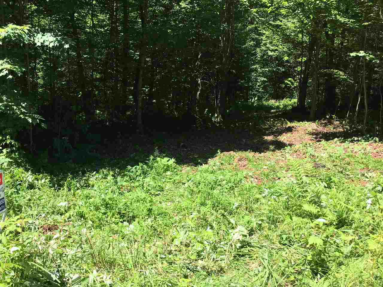 0 Gore Road, Unit 1 Pittsburg, NH 03592 - Photo 4 of 8 Gallery Image 4